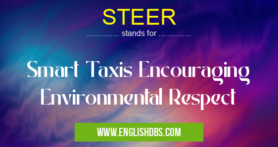 STEER means Smart Taxis Encouraging Environmental Respect STEER