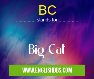 BC means Big Cat BC