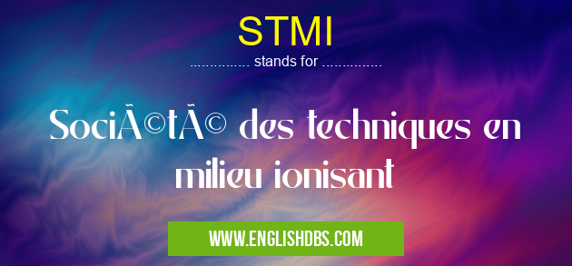STMI means Société des techniques en milieu ionisant STMI