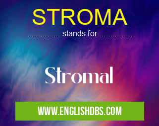 STROMA means Stromal STROMA