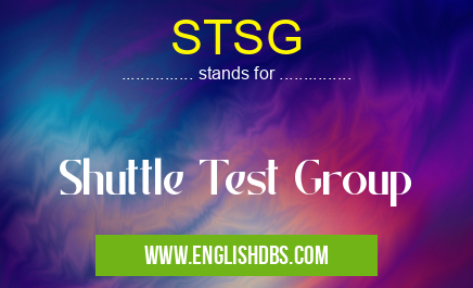 STSG means Shuttle Test Group STSG