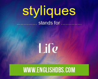 styliques means Life styliques