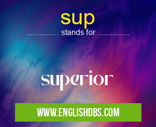 sup means superior sup