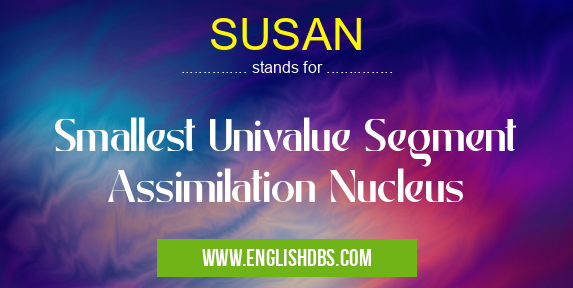 SUSAN means Smallest Univalue Segment Assimilation Nucleus SUSAN