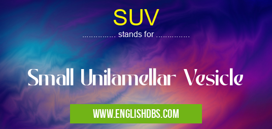 SUV means Small Unilamellar Vesicle SUV