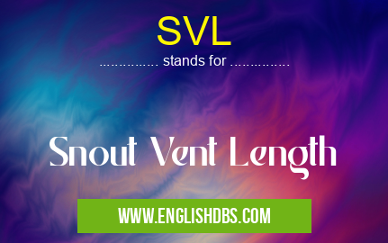 SVL means Snout Vent Length SVL