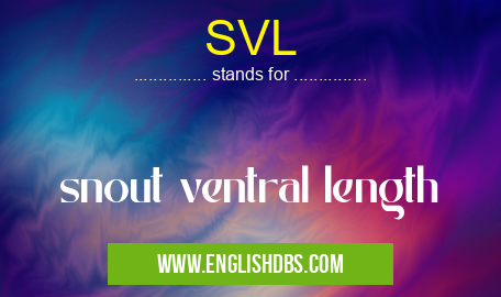 SVL means snout ventral length SVL