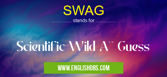 SWAG means Scientific Wild A** Guess SWAG
