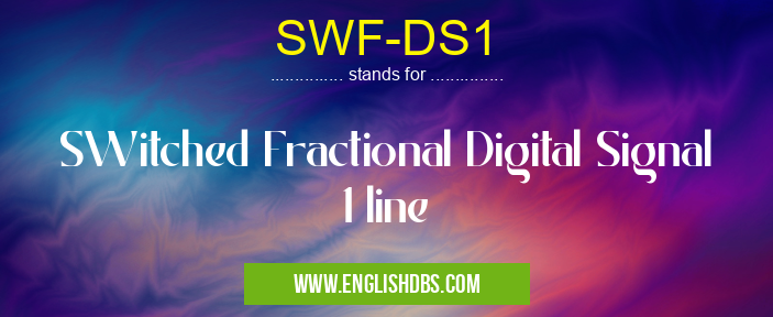 SWF-DS1 means SWitched Fractional Digital Signal 1 line SWF-DS1