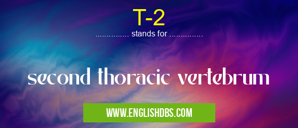 T-2 means second thoracic vertebrum T-2