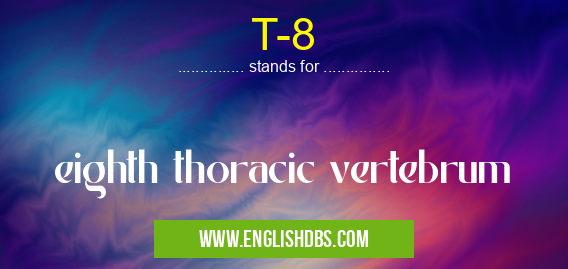 T-8 means eighth thoracic vertebrum T-8