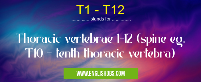 T1 - T12 means Thoracic vertebrae 1-12 (spine eg. T10 = tenth thoracic vertebra) T1 - T12