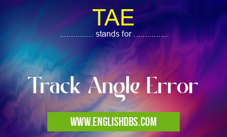 TAE means Track Angle Error TAE