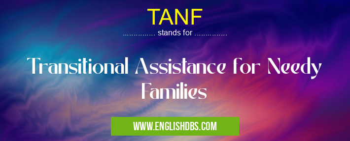 TANF means Transitional Assistance for Needy Families TANF
