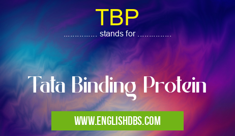 TBP means Tata Binding Protein TBP