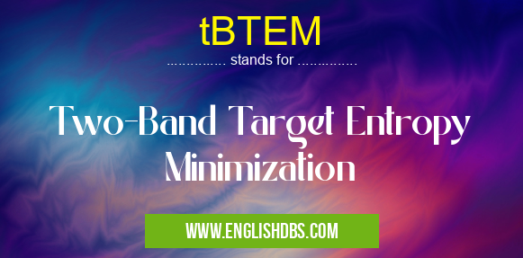 tBTEM means Two-Band Target Entropy Minimization tBTEM