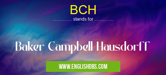 BCH means Baker Campbell Hausdorff BCH