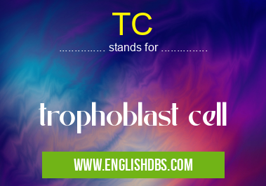 TC means trophoblast cell TC