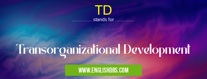 TD means Transorganizational Development TD