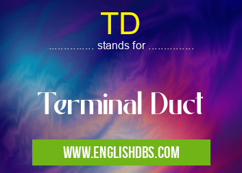 TD means Terminal Duct TD