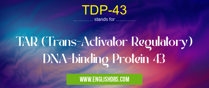 TDP-43 means TAR (Trans-Activator Regulatory) DNA-binding Protein 43 TDP-43
