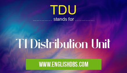 TDU means T1 Distribution Unit TDU