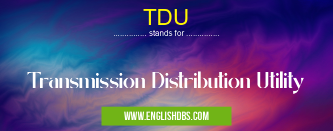 TDU means Transmission Distribution Utility TDU