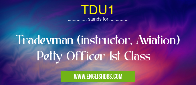 TDU1 means Tradevman (instructor, Aviation) Petty Officer 1st Class TDU1