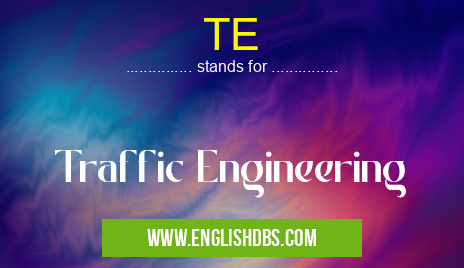 TE means Traffic Engineering TE