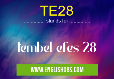 TE28 means tembel efes 28 TE28