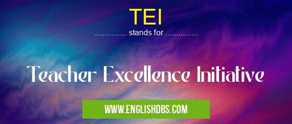 TEI means Teacher Excellence Initiative TEI