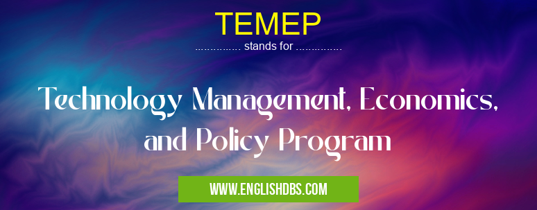 TEMEP means Technology Management, Economics, and Policy Program TEMEP