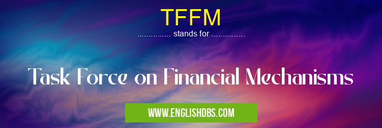 TFFM means Task Force on Financial Mechanisms TFFM