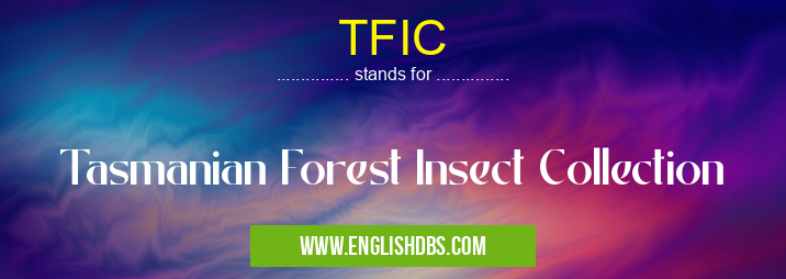 TFIC