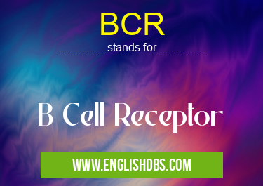 BCR means B Cell Receptor BCR