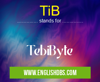 TiB means TebiByte TiB