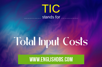 TIC means Total Input Costs TIC