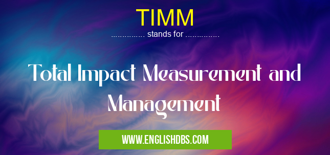 TIMM means Total Impact Measurement and Management TIMM