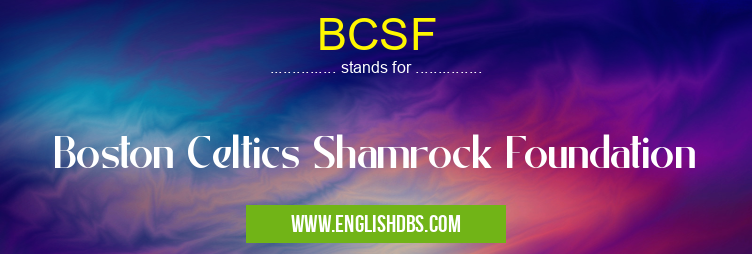 BCSF means Boston Celtics Shamrock Foundation BCSF