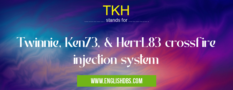 TKH means Twinnie, Ken73, & HerrL83 crossfire injection system TKH
