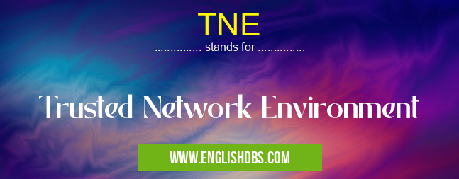 TNE means Trusted Network Environment TNE