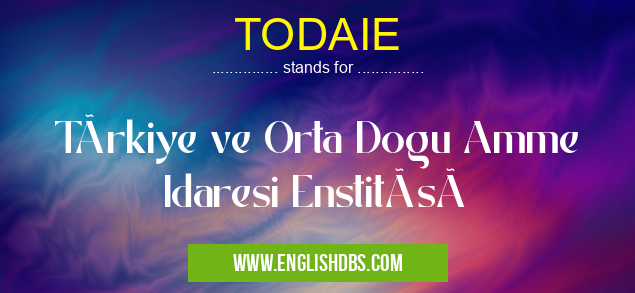 TODAIE means Türkiye ve Orta Dogu Amme Idaresi Enstitüsü TODAIE