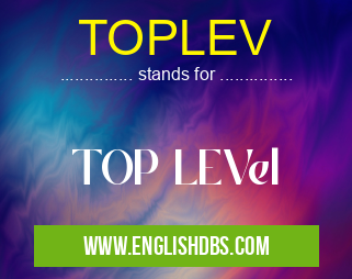 TOPLEV means TOP LEVel TOPLEV