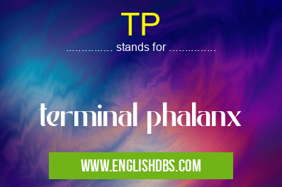 TP means terminal phalanx TP