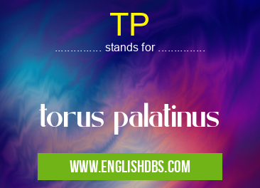 TP means torus palatinus TP