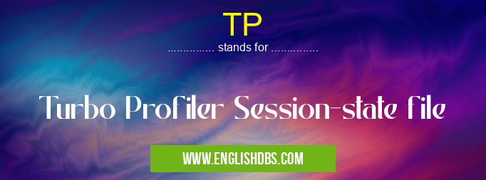 TP means Turbo Profiler Session-state file TP