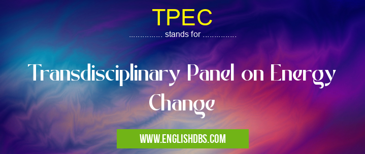 TPEC means Transdisciplinary Panel on Energy Change TPEC