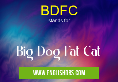 BDFC means Big Dog Fat Cat BDFC