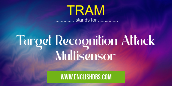 TRAM means Target Recognition Attack Multisensor TRAM