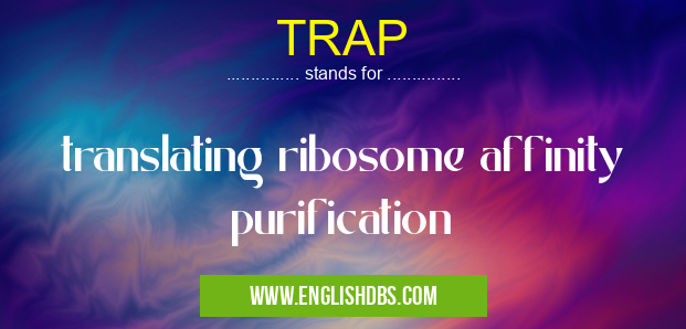 TRAP means translating ribosome affinity purification TRAP